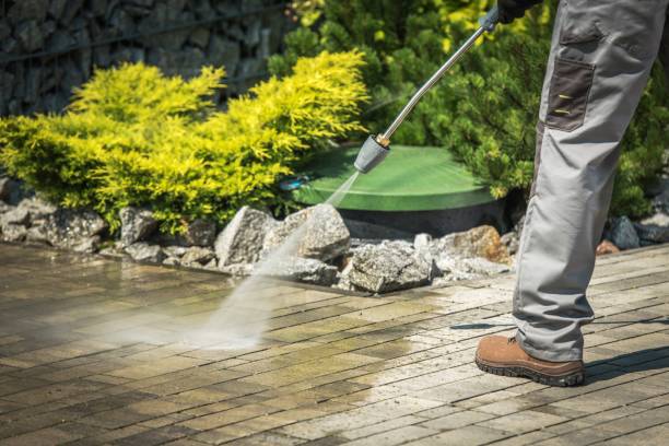 Best Gutter Cleaning  in Lake Los Angeles, CA